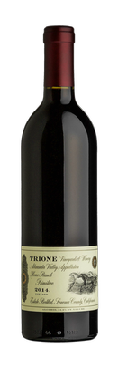 2014 Primitivo