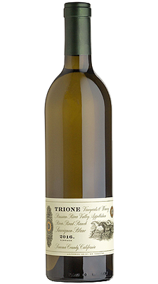 2016 Sauvignon Blanc