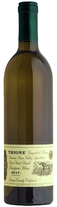 2017 Sauvignon Blanc Image