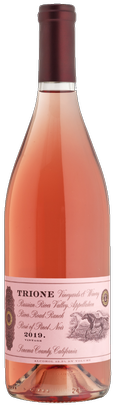 2019 Rose of Pinot Noir